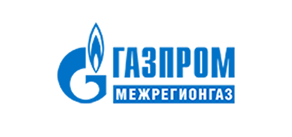 Partner's logo